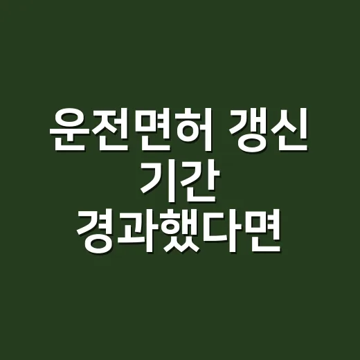 운전면허 갱신 기간 경과했다면 이렇게 처리하세요 - 요약