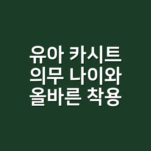 유아 카시트 의무 나이와 올바른 착용 방법 - 요약