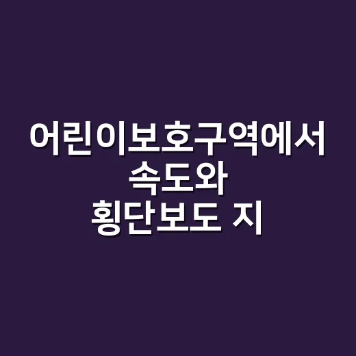 어린이보호구역에서 속도와 횡단보도 지키는 방법 - 요약
