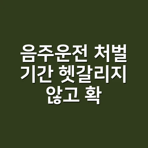 음주운전 처벌 기간 헷갈리지 않고 확인하는 방법 - 요약