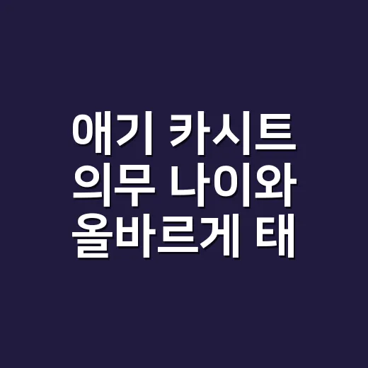애기 카시트 의무 나이와 올바르게 태우는 방법 - 요약