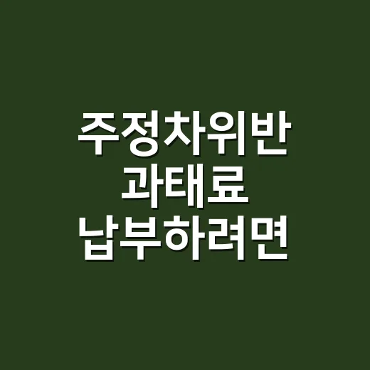 주정차위반 과태료 납부하려면 고지서부터 확인하세요 - 요약