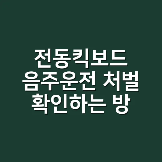 전동킥보드 음주운전 처벌 확인하는 방법 - 요약