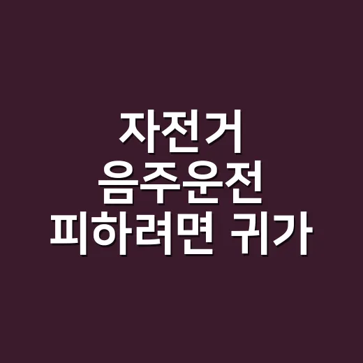 자전거 음주운전 피하려면 귀가 방법부터 바꾸세요 - 요약