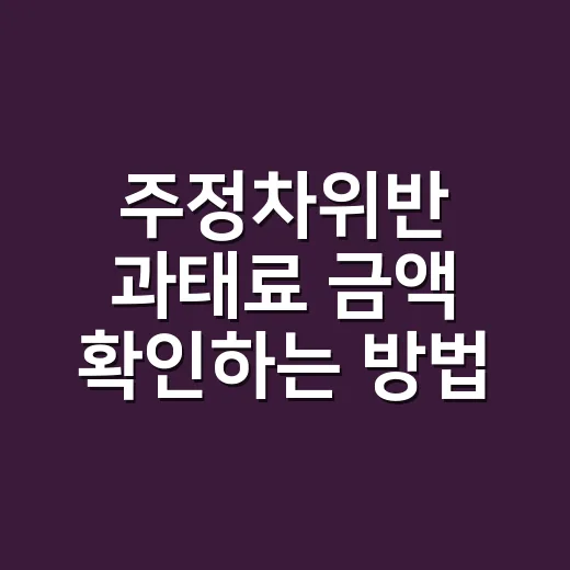 주정차위반 과태료 금액 확인하는 방법 - 요약