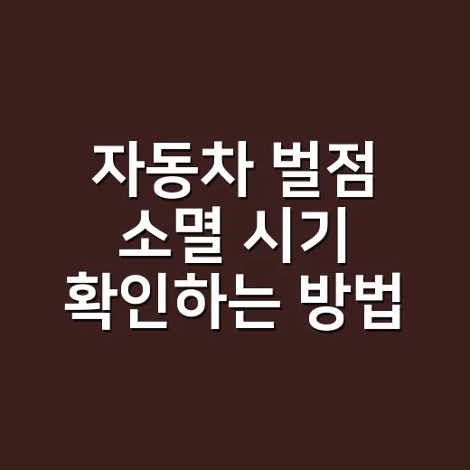 자동차 벌점 소멸 시기 확인하는 방법 - 요약