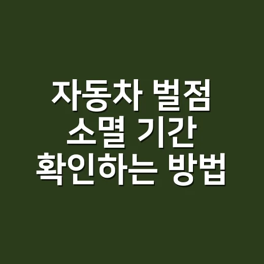자동차 벌점 소멸 기간 확인하는 방법 - 요약