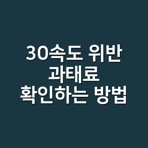 30속도 위반 과태료 확인하는 방법 - 요약