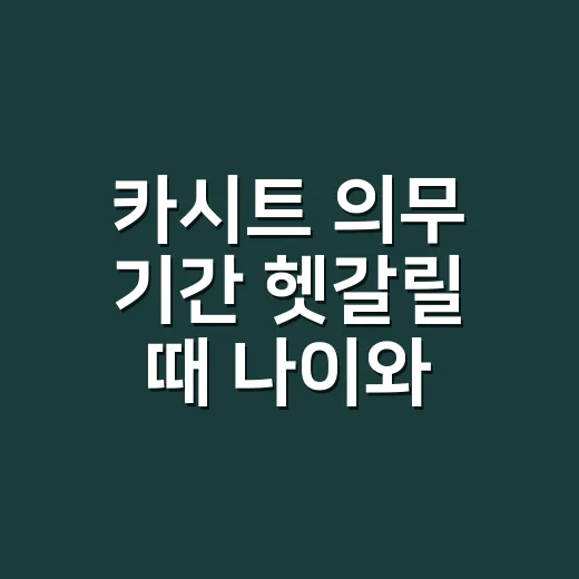 카시트 의무 기간 헷갈릴 때 나이와 착용 기준 확인하는 방법 - 요약