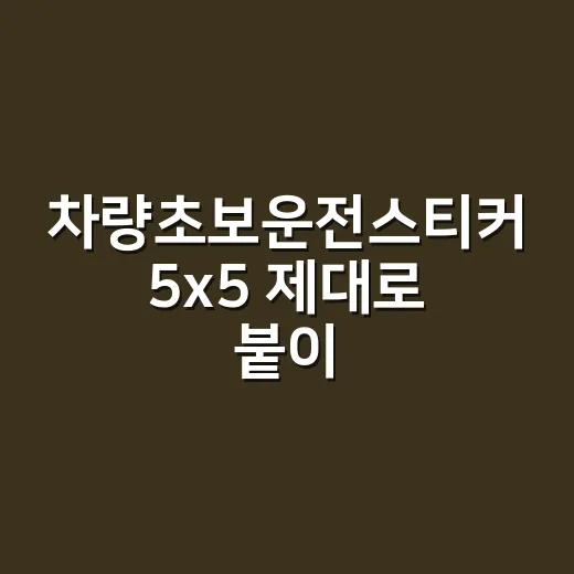 차량초보운전스티커 5x5 제대로 붙이는 방법 - 요약