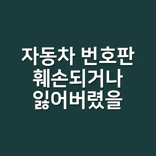 자동차 번호판 훼손되거나 잃어버렸을 때 처리하는 방법 - 요약