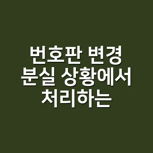 번호판 변경 분실 상황에서 처리하는 방법 - 요약