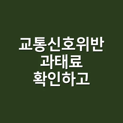 교통신호위반 과태료 확인하고 대응하는 방법 - 요약