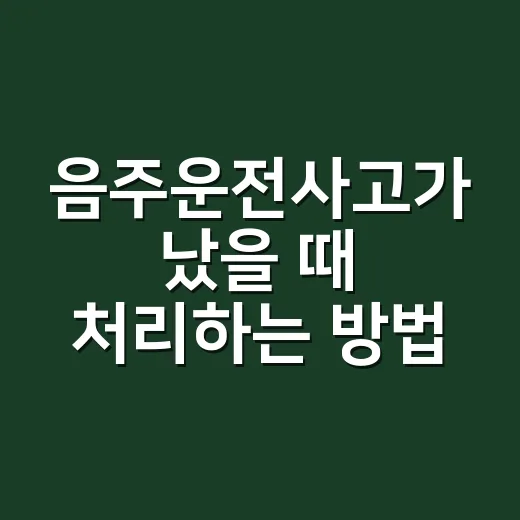 음주운전사고가 났을 때 처리하는 방법 - 요약