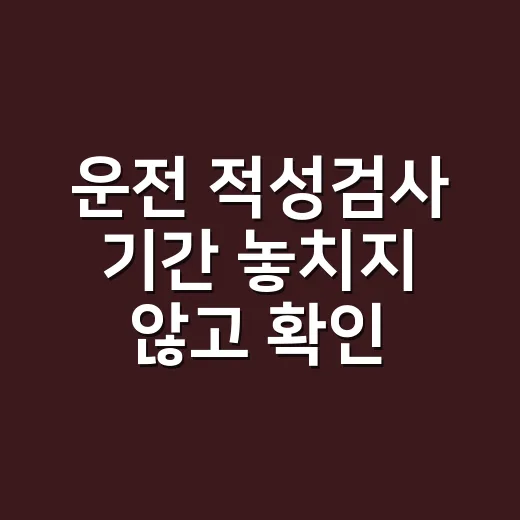 운전 적성검사 기간 놓치지 않고 확인하는 방법 - 요약