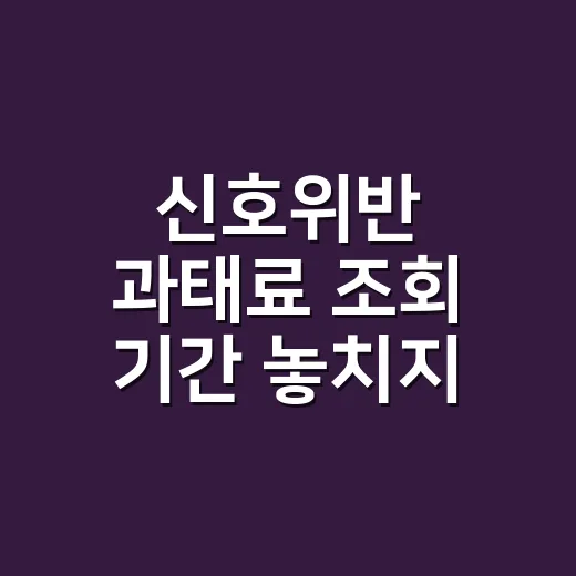 신호위반 과태료 조회 기간 놓치지 않고 확인하는 방법 - 요약