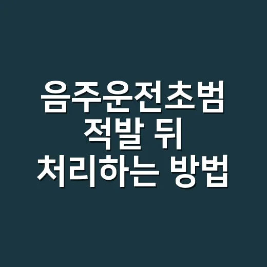 음주운전초범 적발 뒤 처리하는 방법 - 요약