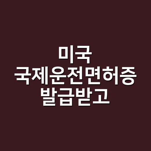 미국 국제운전면허증 발급받고 운전하는 방법 - 요약