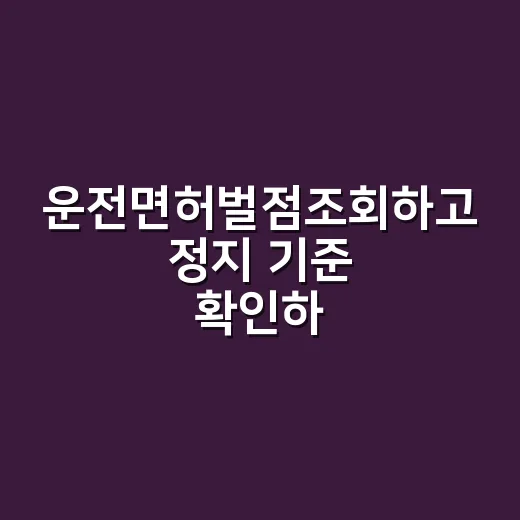 운전면허벌점조회하고 정지 기준 확인하는 방법 - 요약