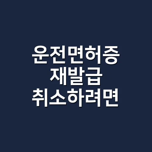 운전면허증 재발급 취소하려면 먼저 확인할 것 - 요약