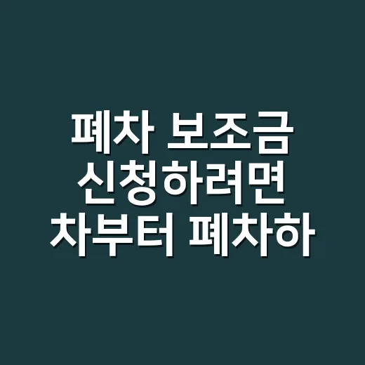 폐차 보조금 신청하려면 차부터 폐차하지 마세요 - 요약