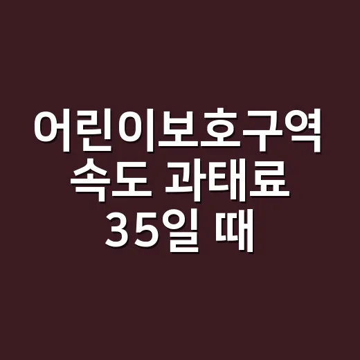 어린이보호구역 속도 과태료 35일 때 확인하는 방법 - 요약