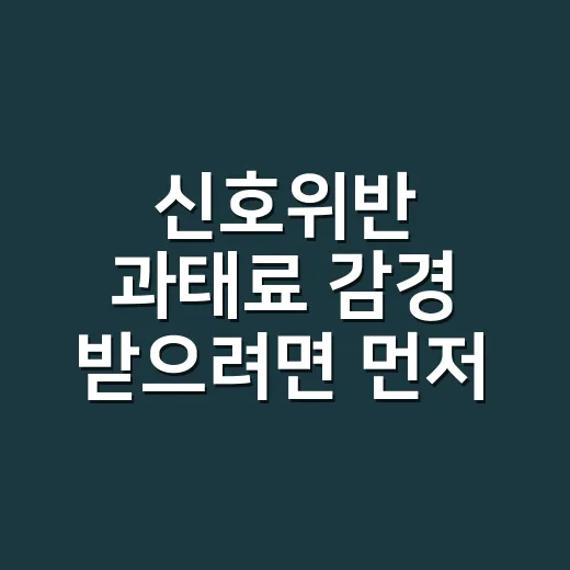 신호위반 과태료 감경 받으려면 먼저 확인할 것 - 요약