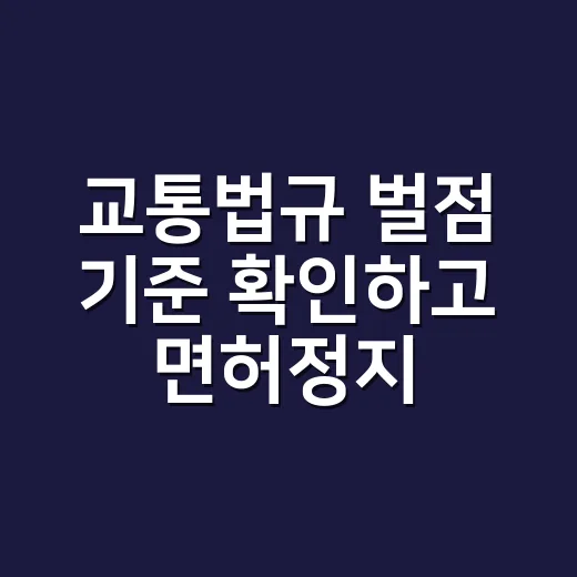 교통법규 벌점 기준 확인하고 면허정지 피하는 방법 - 요약