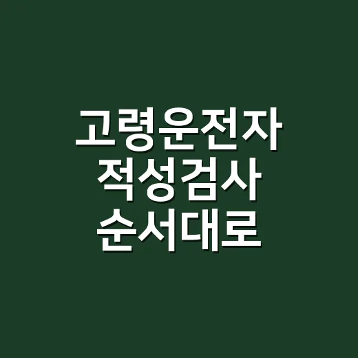 고령운전자 적성검사 순서대로 준비하는 방법 - 요약