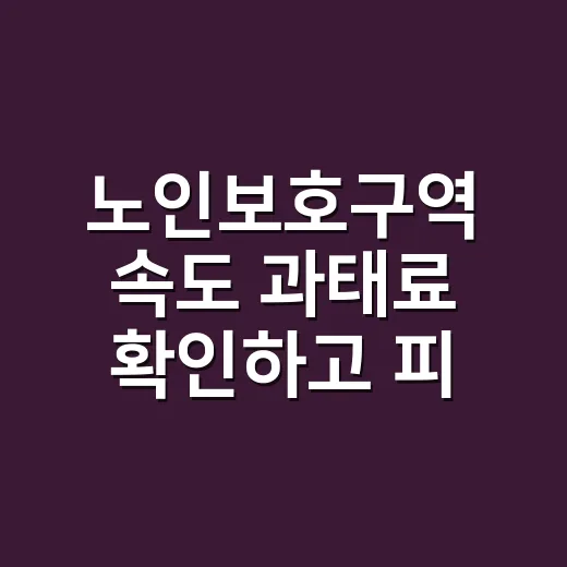 노인보호구역 속도 과태료 확인하고 피하는 방법 - 요약
