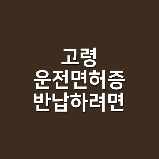 고령 운전면허증 반납하려면 이렇게 준비하세요 - 요약
