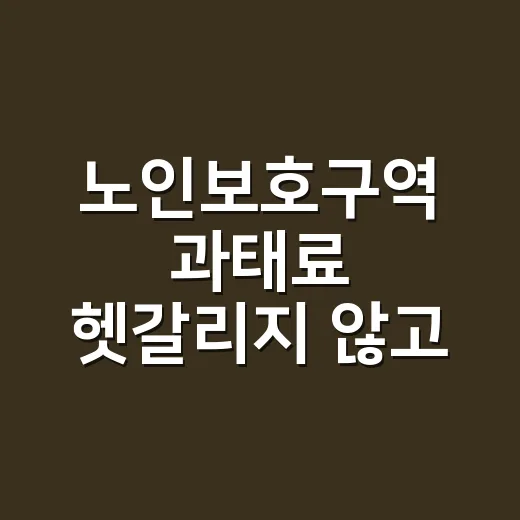 노인보호구역 과태료 헷갈리지 않고 확인하는 방법 - 요약