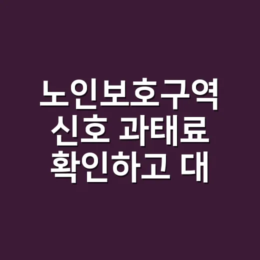 노인보호구역 신호 과태료 확인하고 대응하는 방법 - 요약