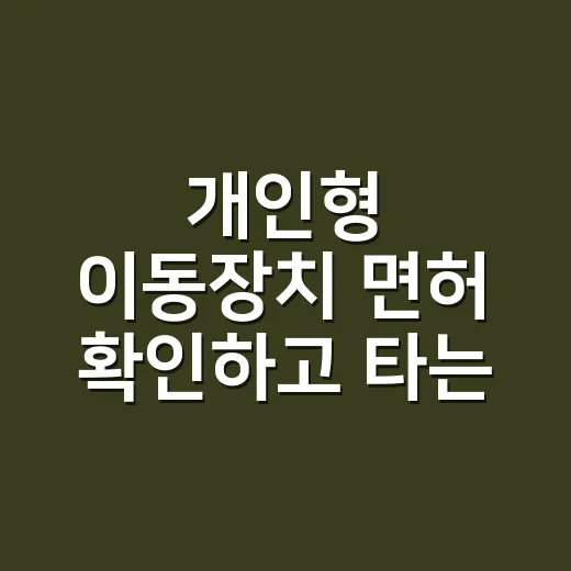 개인형 이동장치 면허 확인하고 타는 방법 - 요약