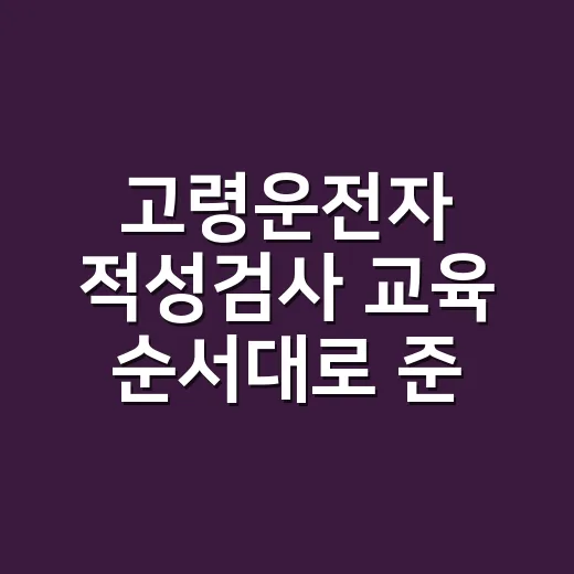 고령운전자 적성검사 교육 순서대로 준비하는 방법 - 요약