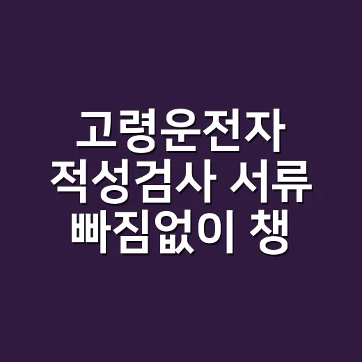 고령운전자 적성검사 서류 빠짐없이 챙기는 방법 - 요약