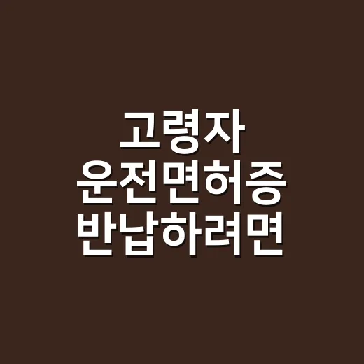 고령자 운전면허증 반납하려면 이렇게 준비하세요 - 요약