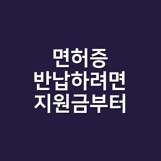 면허증 반납하려면 지원금부터 확인하세요 - 요약