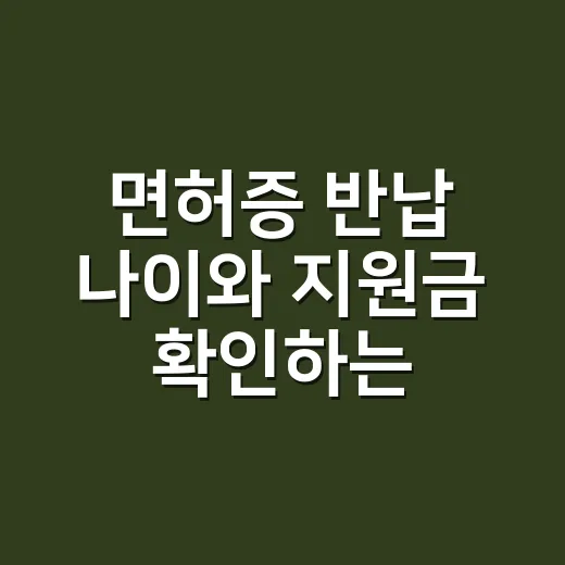 면허증 반납 나이와 지원금 확인하는 방법 - 요약
