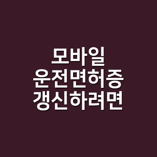 모바일 운전면허증 갱신하려면 먼저 확인할 것 - 요약
