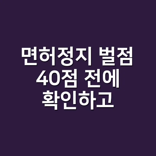 면허정지 벌점 40점 전에 확인하고 줄이는 방법 - 요약