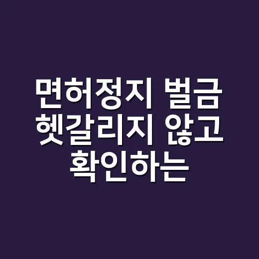 면허정지 벌금 헷갈리지 않고 확인하는 방법 - 요약