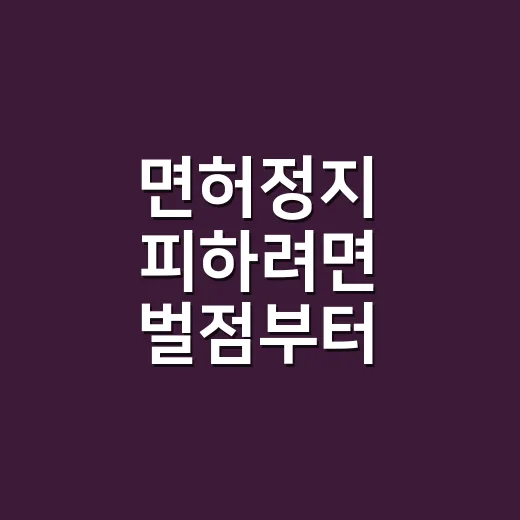 면허정지 피하려면 벌점부터 확인하는 방법 - 요약