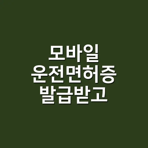 모바일 운전면허증 발급받고 제대로 쓰는 방법 - 요약