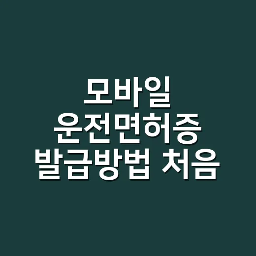 모바일 운전면허증 발급방법 처음 신청할 때 이렇게 - 요약