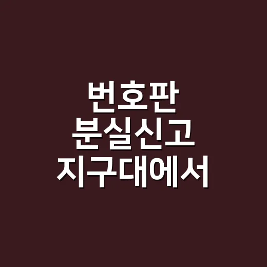 번호판 분실신고 지구대에서 하고 다시 다는 방법 - 요약