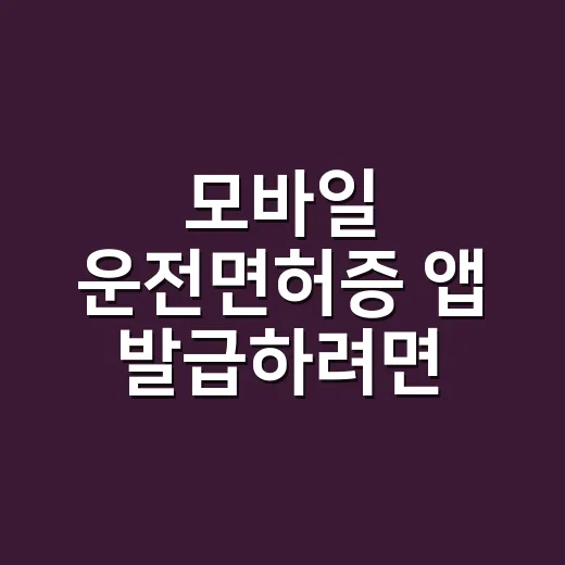 모바일 운전면허증 앱 발급하려면 이렇게 하세요 - 요약