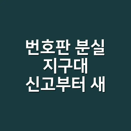 번호판 분실 지구대 신고부터 새 번호판 받는 방법 - 요약