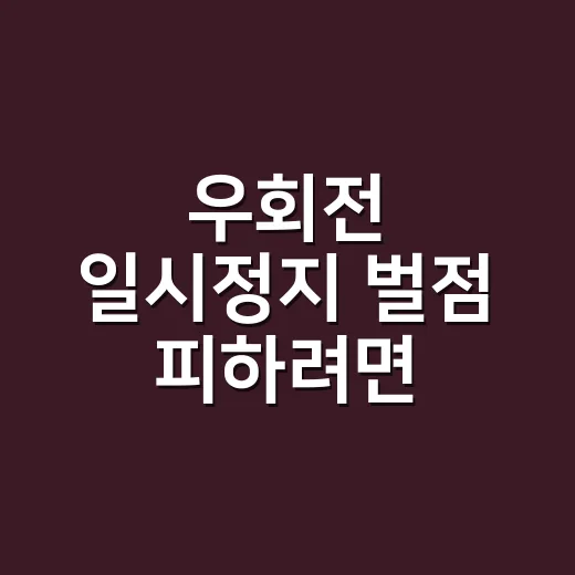 우회전 일시정지 벌점 피하려면 이렇게 멈추세요 - 요약