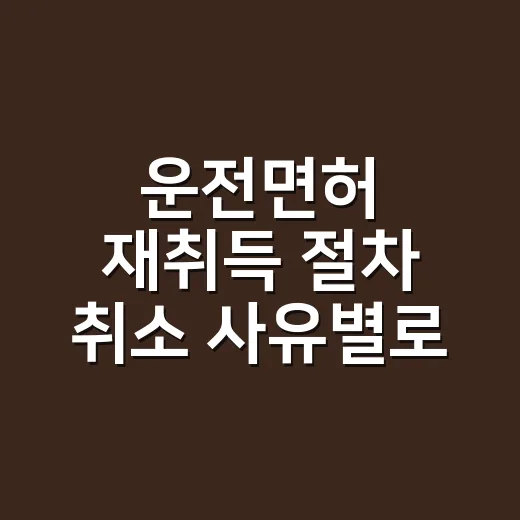 운전면허 재취득 절차 취소 사유별로 진행하는 방법 - 요약